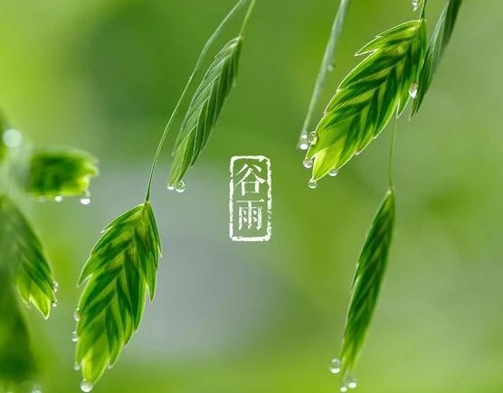 通又盛新聞圖.jpg