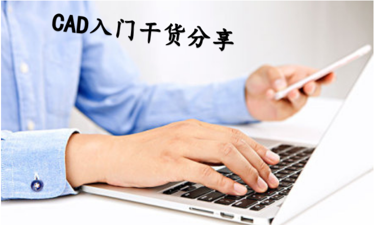 通又盛新聞圖.png