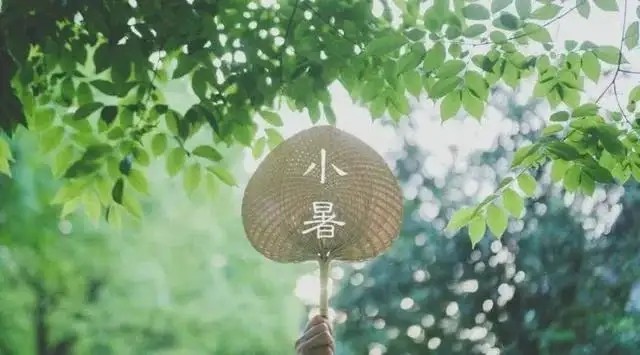 通又盛新聞圖.jpg
